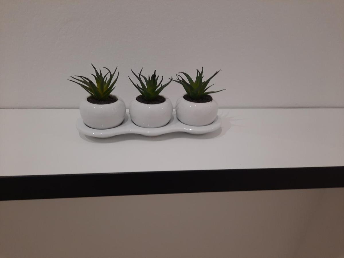 Alfa Apartment *