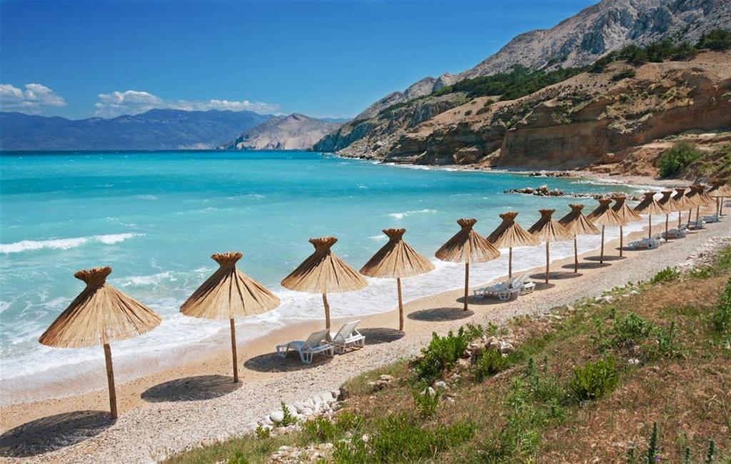 Alfa * Baška